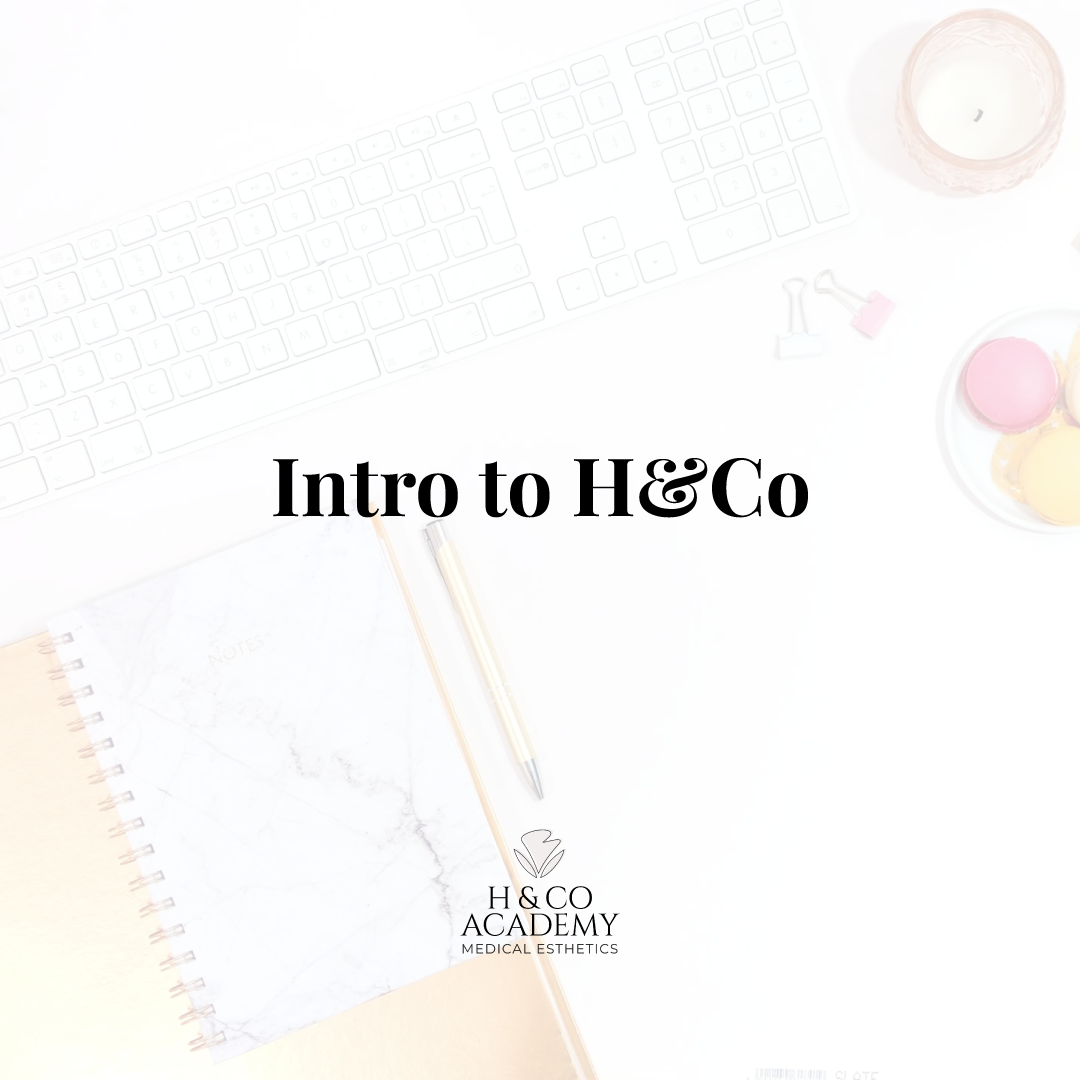 Read more about the article Intro to H&Co